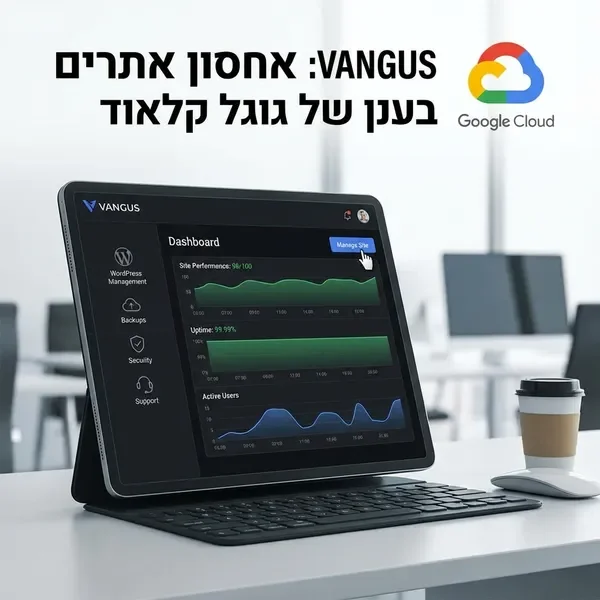 אחסון אתרים מקצועי עם פאנל ניהול מתקדם